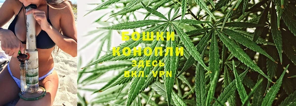спайс Осинники