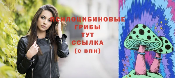 тгк Осташков